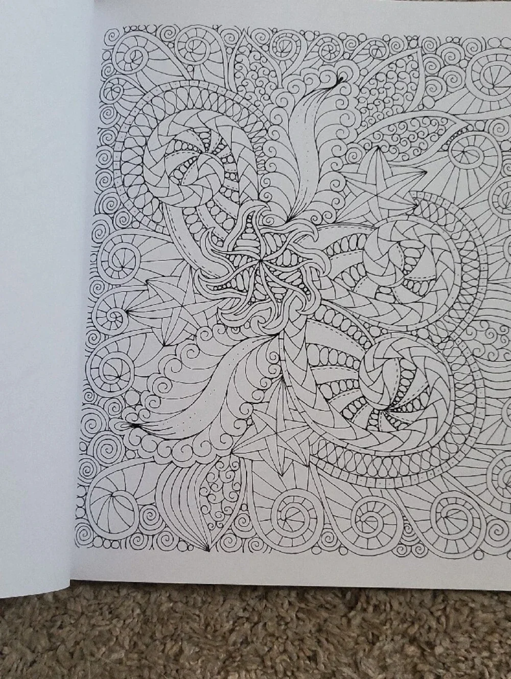 Zendoodle Coloring Book Set — Calming Swirls & Creative Sensations